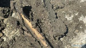 Древняя стрела.jpg