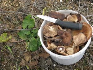 1 января 2024г (2).JPG