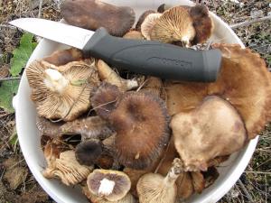 1 января 2024г (3).JPG