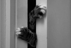 Screenshot_20240129_194351_Yandex Start.jpg