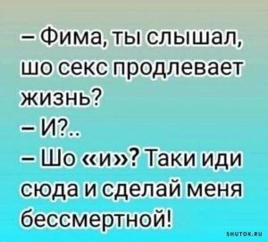 1707732251_shutok_ru.18826850.thumb.jpg.cade3e8c4a05978f8227f5a957085a98.jpg