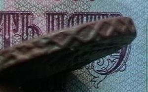 полкоп 008.JPG