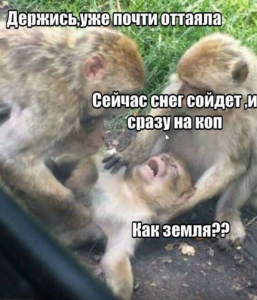 Скриншот 02-03-2024 162250.png