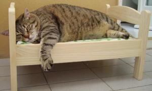 Screenshot_20240311_123428_Yandex Start.jpg