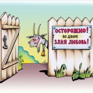 Screenshot_20240328_175921_Yandex Start.jpg