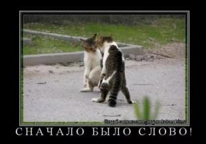 Screenshot_20240331_095653_Yandex Start.jpg