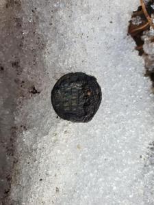 WhatsApp Image 2024-03-04 at 15.06.53.jpeg