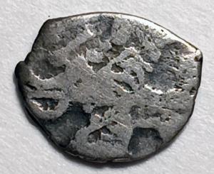 чешуйка 2.jpg