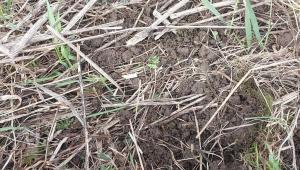 2024-04-20 13-33-02.JPG