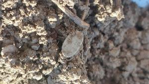 2024-04-20 15-32-15.JPG