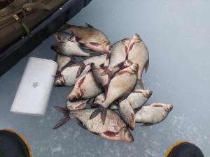 Изображение WhatsApp 2024-04-02 в 13.07.53_5f20ef78.jpg