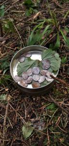 Изображение WhatsApp 2024-04-13 в 14.03.05_463a024677.jpg