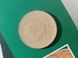 WhatsApp Image 2024-04-29 at 17.12.43.jpeg