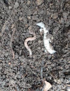 Скриншот 09-05-2024 074956.jpg