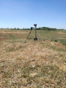 IMG_20240526_135727 (Medium).jpg