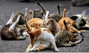 Screenshot_20240503_202715_Yandex Start.jpg