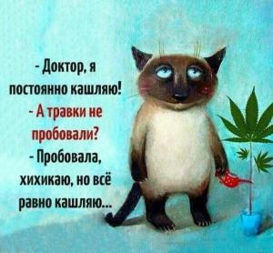 Screenshot_20240516_164836_Yandex Start.jpg