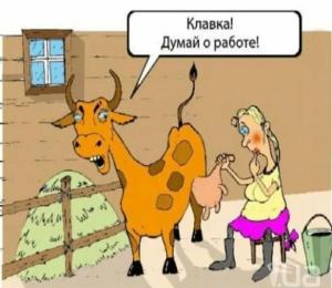 Screenshot_20240516_164944_Yandex Start.jpg