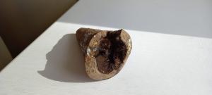 WhatsApp Image 2024-05-04 at 15.41.56.jpeg