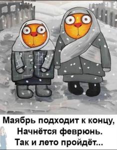 изображение_viber_2024-05-29_18-38-28-285.jpg