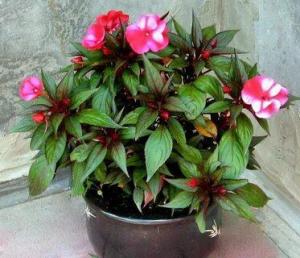 i - 2024-05-10T213433.698.jpeg