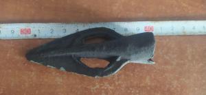 photo_2023-11-05_13-13-16 (2).jpg