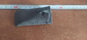 photo_2023-11-05_13-13-16 (3).jpg