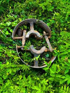 photo_2024-05-06 13.26.26.jpeg