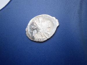 чешуя иван грозный пс 003.JPG