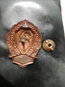 IMG_20240621_115725 (Medium).jpg