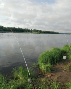 IMG_20240607_061632(1) (1).jpg