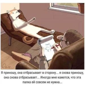 Screenshot_20240722_194846_Yandex Start.jpg