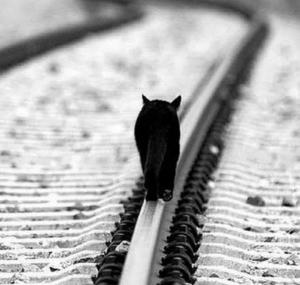 Screenshot_20240724_190814_Yandex Start.jpg