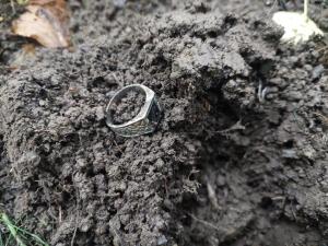 Изображение WhatsApp 2024-07-12 в 12.14.58_56e29ca4.jpg