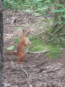 Изображение WhatsApp 2024-07-18 в 16.01.15_7840430e.jpg