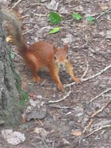 Изображение WhatsApp 2024-07-18 в 16.01.34_0a2e4cb9.jpg