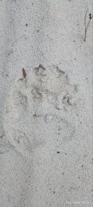 photo_2024-07-29_12-57-38 (2).jpg