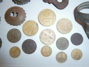 Разное с чешуйкой 057.JPG