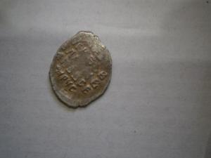 Разное с чешуйкой 058.JPG