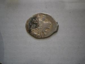 Разное с чешуйкой 059.JPG