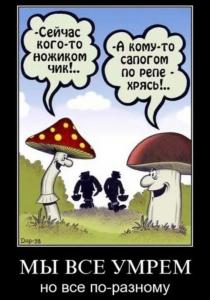 Screenshot_20240813_212746_Yandex Start.jpg