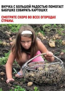 Screenshot_20240816_102828_Yandex Start.jpg