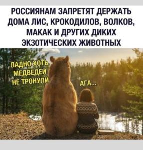 Screenshot_20240817_063504_Yandex Start.jpg