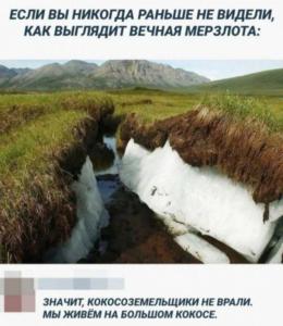 Screenshot_20240817_063642_Yandex Start.jpg