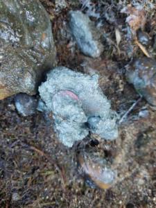 Изображение WhatsApp 2024-08-11 в 12.15.32_da0c81cf.jpg