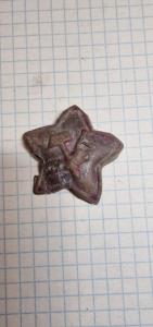 WhatsApp Image 2024-08-02 at 08.51.48.jpeg