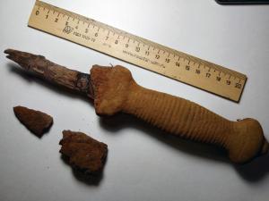 IMG_20240912_204705_HDR (1).jpg