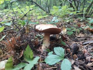 Изображение WhatsApp 2024-09-06 в 14.02.05_b3c52f44.jpg