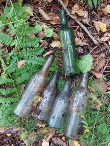 Изображение WhatsApp 2024-09-06 в 14.02.05_c78d5d7c.jpg