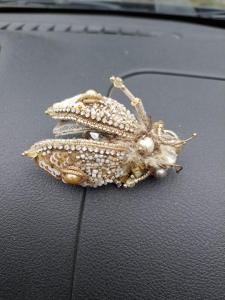 Изображение WhatsApp 2024-09-06 в 14.05.24_841751f7.jpg